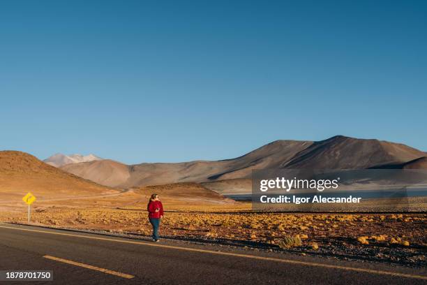 mujer disfrutando de la vida en la carretera en atacama - región de atacama fotografías e imágenes de stock