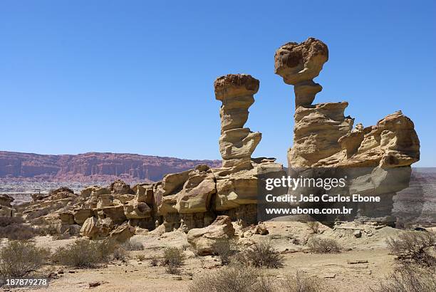 el submarino del ischigualasto - イスキグアラスト州立公園 ストックフォトと画像