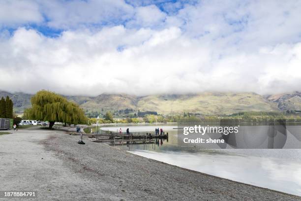 the lake wanaka, new zealand - lagoon willow stock pictures, royalty-free photos & images