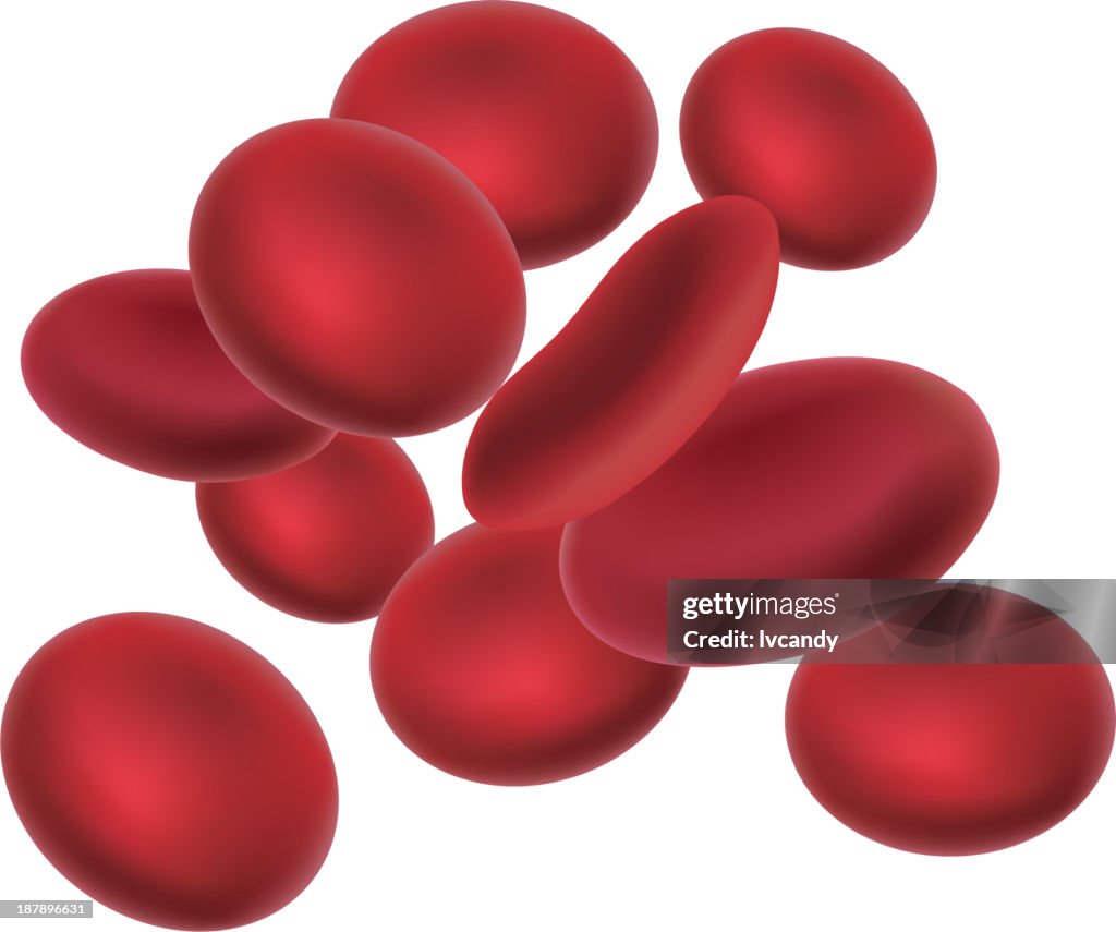 Cellule del sangue
