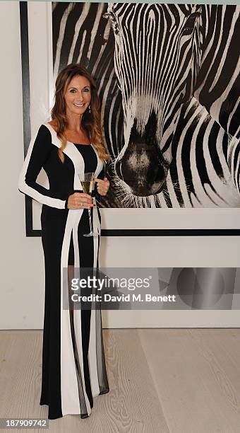 Yvonne Krzywkowska attends the private view of ENCOUNTER the stunning wildlife photography of David Yarrow at Saatchi Gallery on November 13, 2013 in...