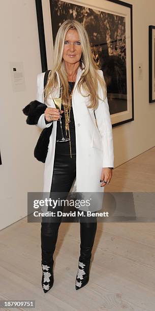 Amanda Wakeley attends the private view of ENCOUNTER the stunning wildlife photography of David Yarrow at Saatchi Gallery on November 13, 2013 in...