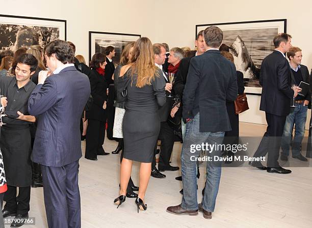 General view of the private view of ENCOUNTER the stunning wildlife photography of David Yarrow at Saatchi Gallery on November 13, 2013 in London,...