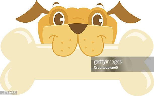 dog with copy space bone - dog bone isolated stock illustrations