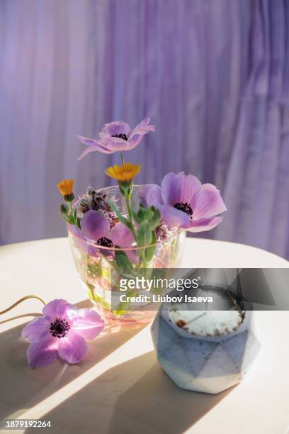 high angle view of bunch of anemones and other wild flowers and handmade candle on small wooden table. - traubensilberkerze stock-fotos und bilder