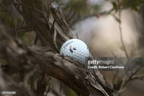 The ball of Jarrod Lyle is seen stuck in a tree on the 10th, during round one of the 2013 Australian Masters at Royal Melbourne Golf Course on...