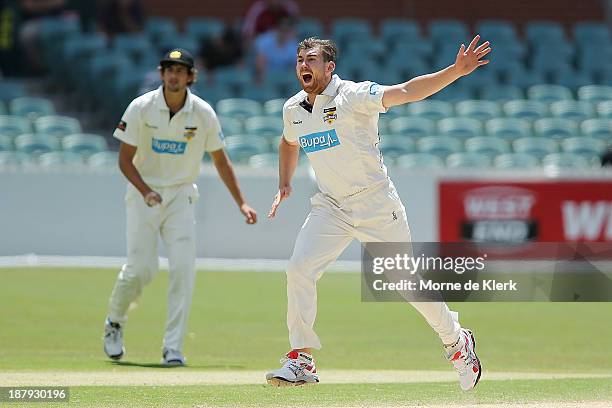 Ryan Duffield of the Warriors appeals for a wicket during day two of the Sheffield Shield match between the Redbacks and the Warriors at Adelaide...