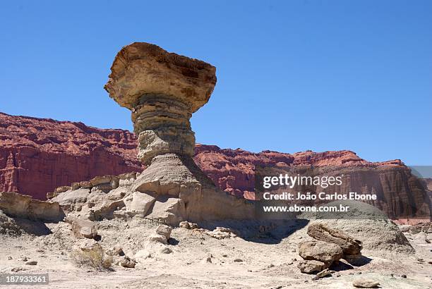 el hongo del ischigualasto - イスキグアラスト州立公園 ストックフォトと画像