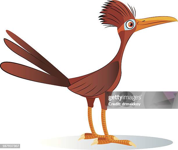ilustraciones, imágenes clip art, dibujos animados e iconos de stock de correcaminos - correcaminos