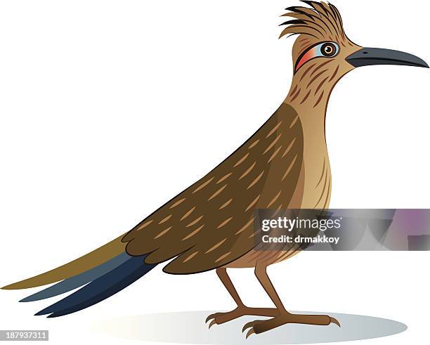 ilustraciones, imágenes clip art, dibujos animados e iconos de stock de correcaminos - correcaminos