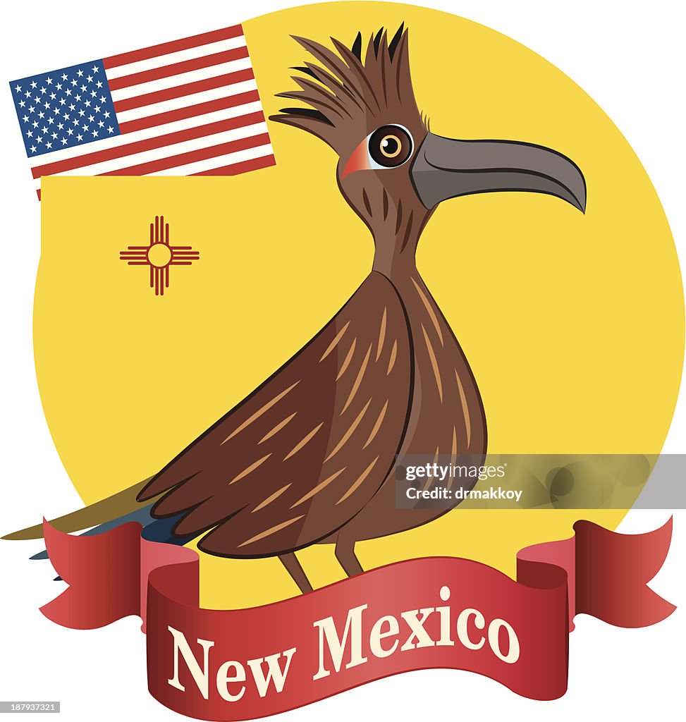 Roadrunner and New Mexico
