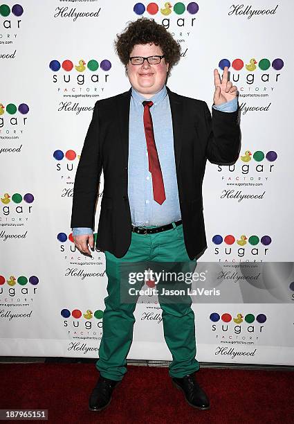 Actor Jesse Heiman attends the grand opening of Sugar Factory Hollywood on November 13, 2013 in Hollywood, California.