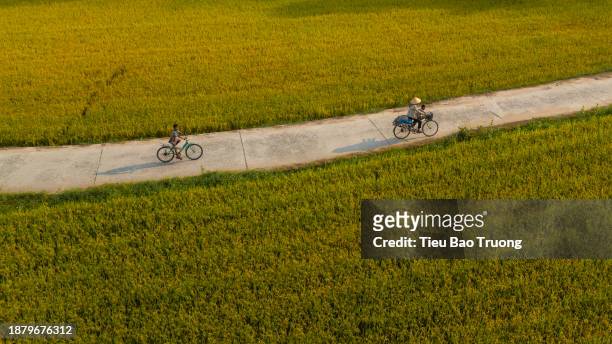 ta pa fields - vietnam stock pictures, royalty-free photos & images
