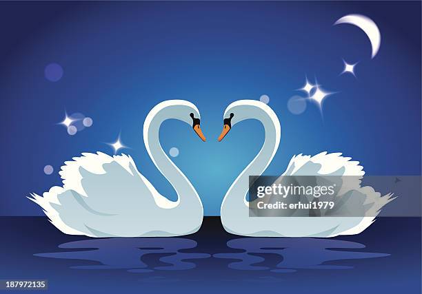swan - schwan stock-grafiken, -clipart, -cartoons und -symbole