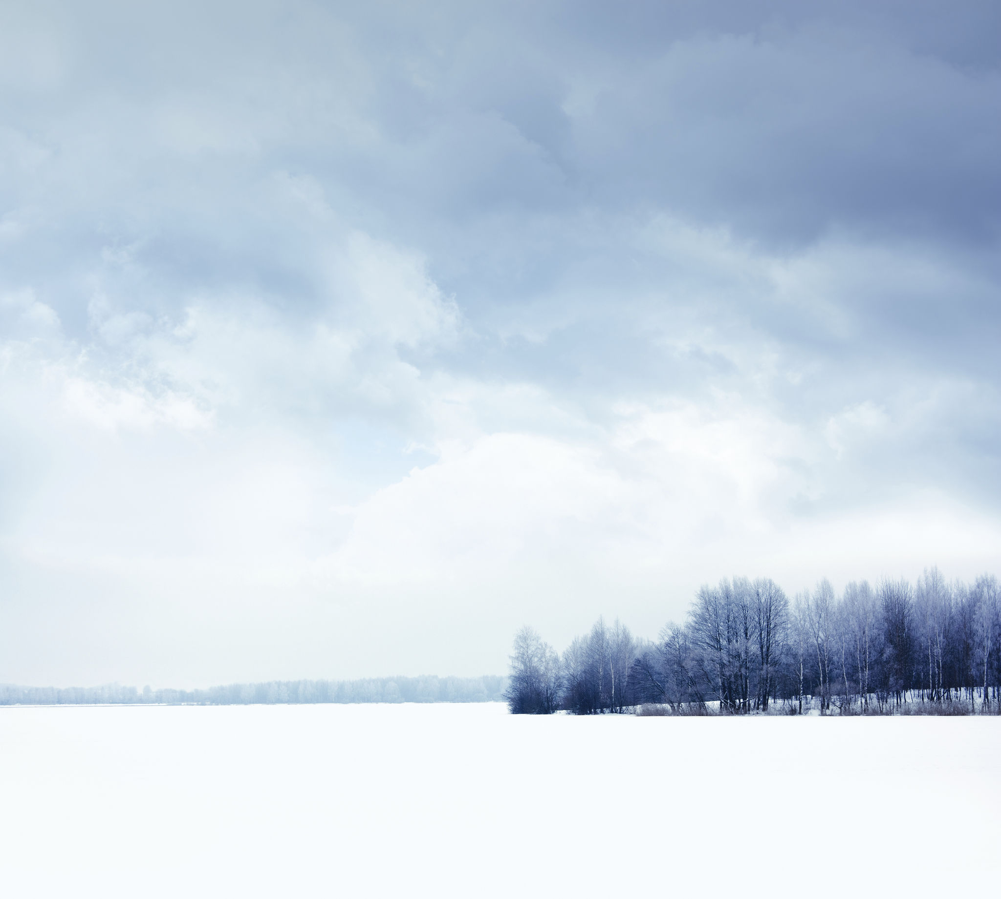 winter tranquil colors