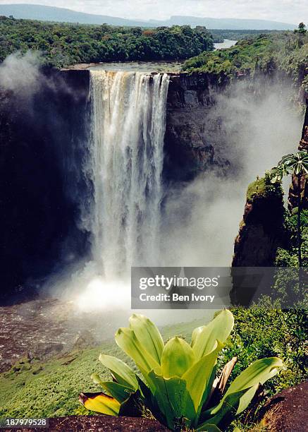 kaieteur falls guyana - guyana stock pictures, royalty-free photos & images