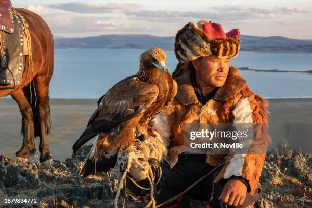 a nomadic kazakh eagle hunter sitting with his golden eagle in evening sunlight - tribal head gear in china stock pictures, royalty-free photos & images