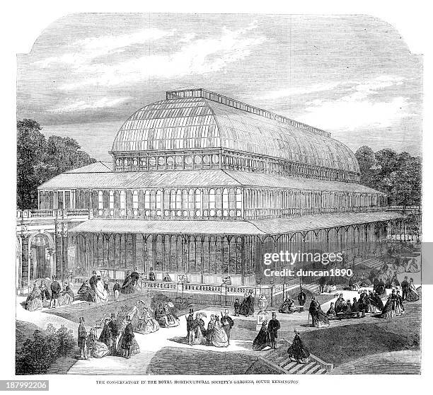 conservatory of the royal horticultural society - chelsea stock illustrations