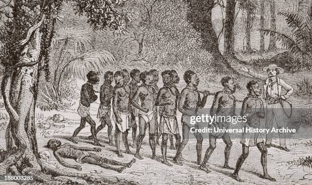 Group Of Captured Africans Being Led Away By A White Slaver. From L'univers Illustre Published In Paris In 1868.