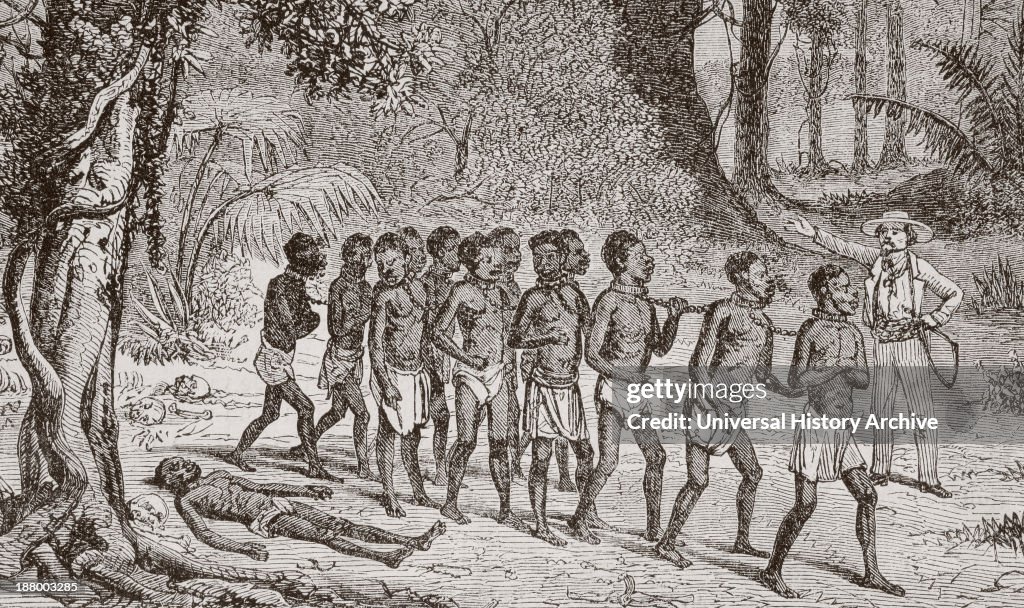 A Group Of Captured Africans Being Led Away By A White Slaver