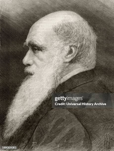 Charles Darwin 1809 English Naturalist. From Nuestro Siglo, Published Barcelona 1883.