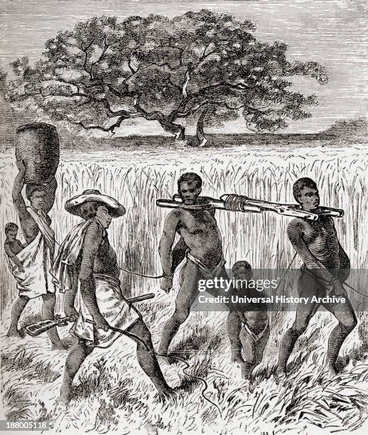 Slave Driving In Africa In The 19Th Century. From Africa By Keith Johnston, Published 1884.