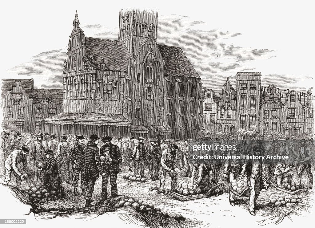 The Cheese Market At Hoorn