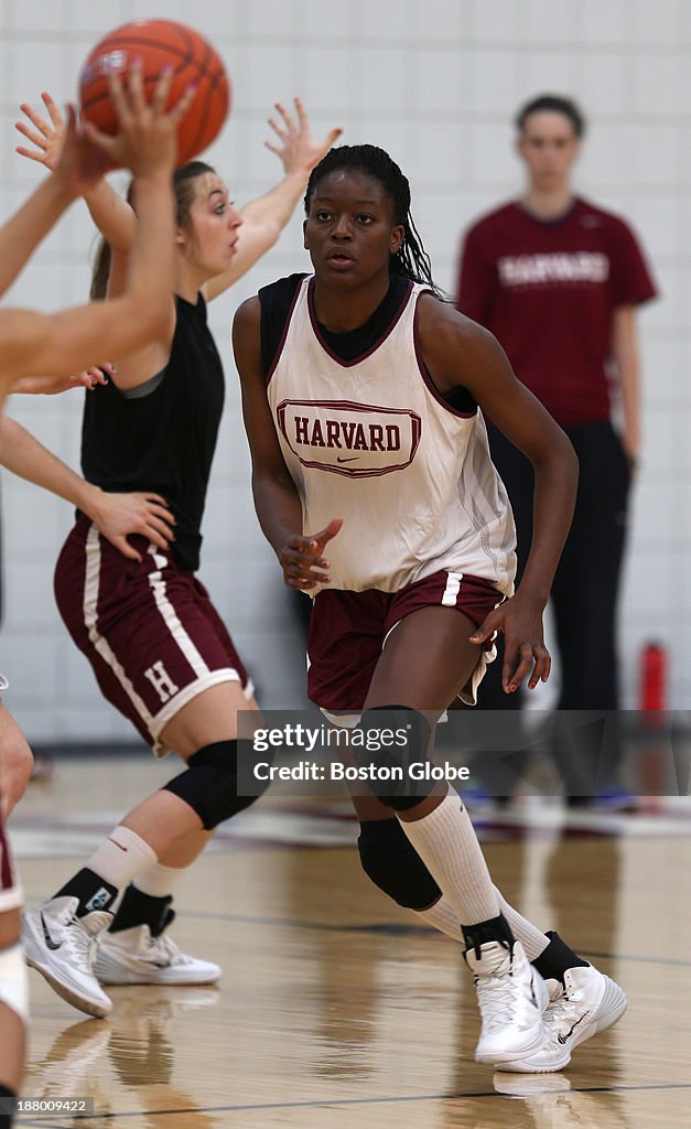 Harvard Women's Basketball Player Temi Fagbenle