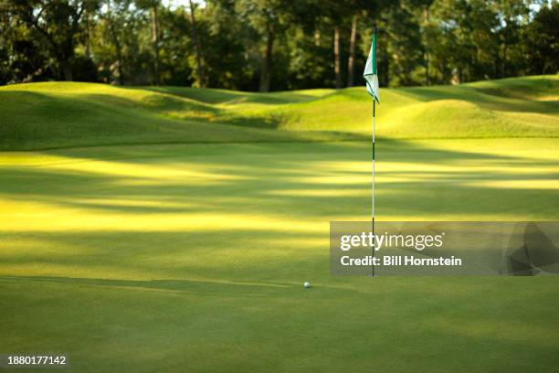 a golf ball rest close to the pin. - country club foto e immagini stock