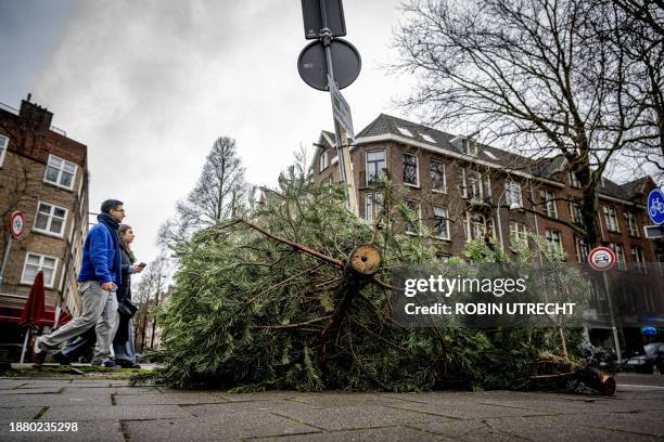 Christmas trees are at a Christmas tree collection point after the holidays, in Amsterdam, on December 27, 2023. / Netherlands OUT