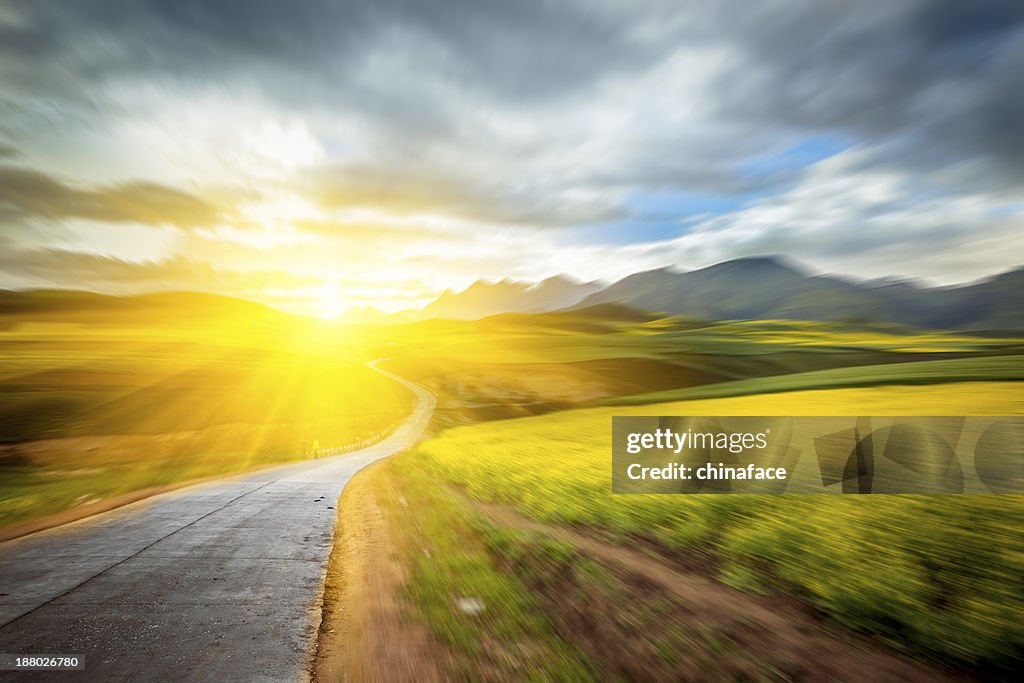 Estrada secundária percorrer a Canola field