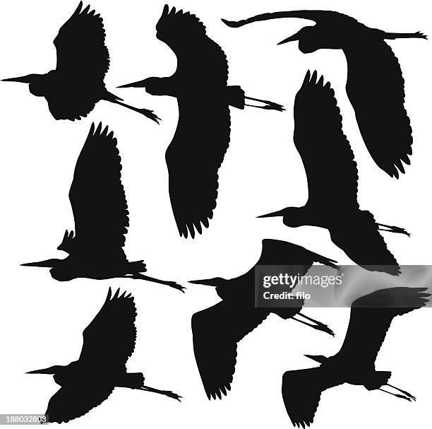 illustrazioni stock, clip art, cartoni animati e icone di tendenza di volare storks gru e aironi - airone