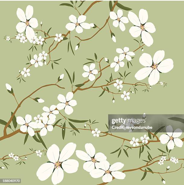 seamless almond tree wallpaper - almond stock illustrations