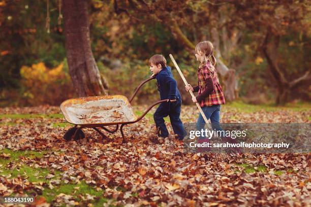 Children In Fall Rake 813 Children Raking Leaves Stock Photos, High-Res Pictures, and Images ...