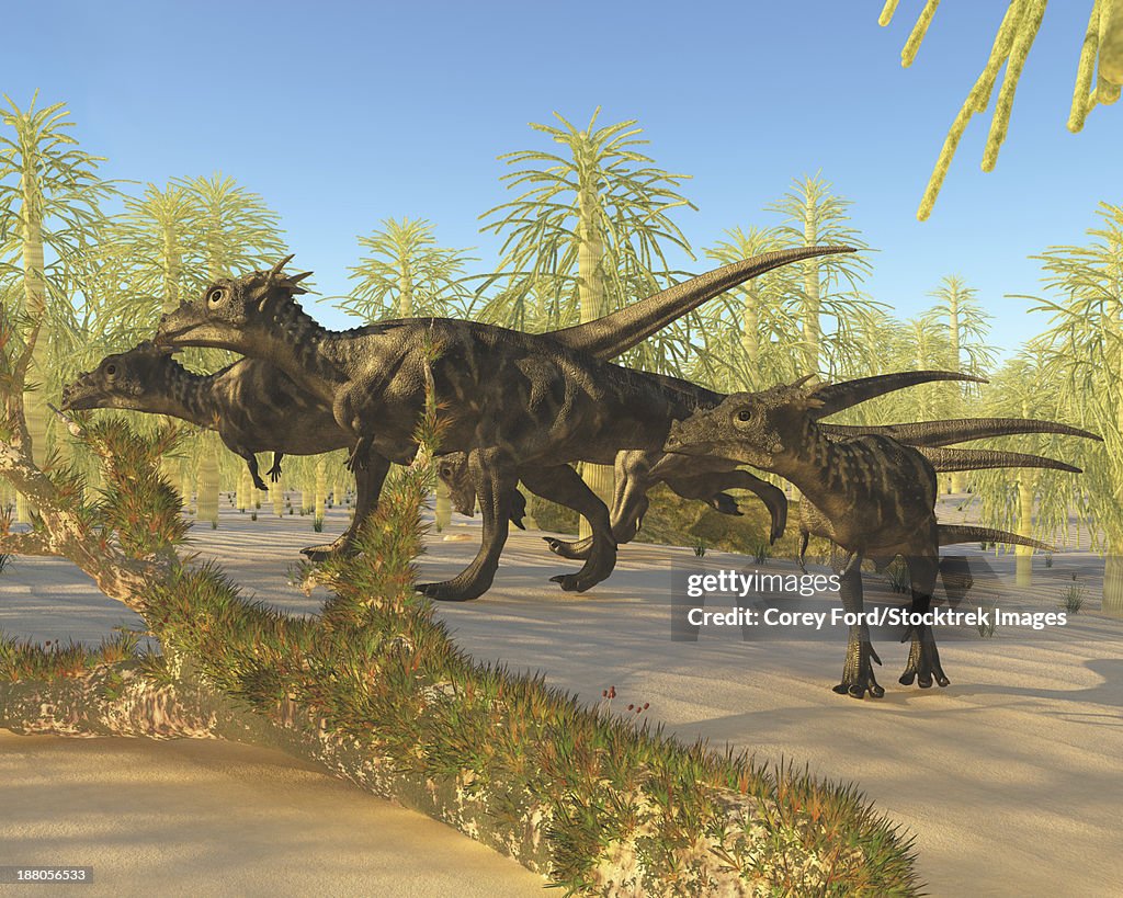 A herd of Dracorex dinosaurs walk through a carboniferous forest in the Cretaceous Era.