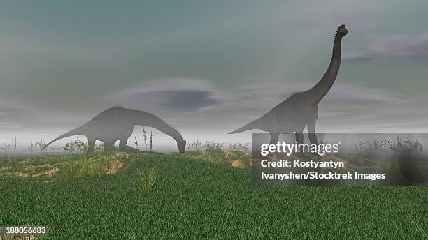 ilustraciones, imágenes clip art, dibujos animados e iconos de stock de two brachiosaurus dinosaurs grazing in the mist. - animal extinto