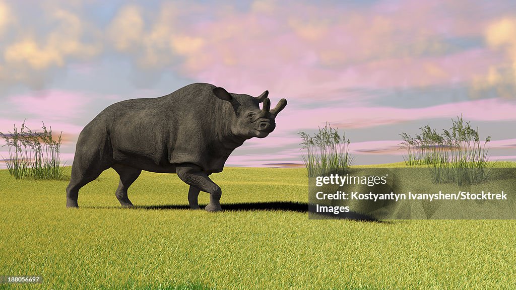 Brontotherium grazing in prehistoric grasslands.