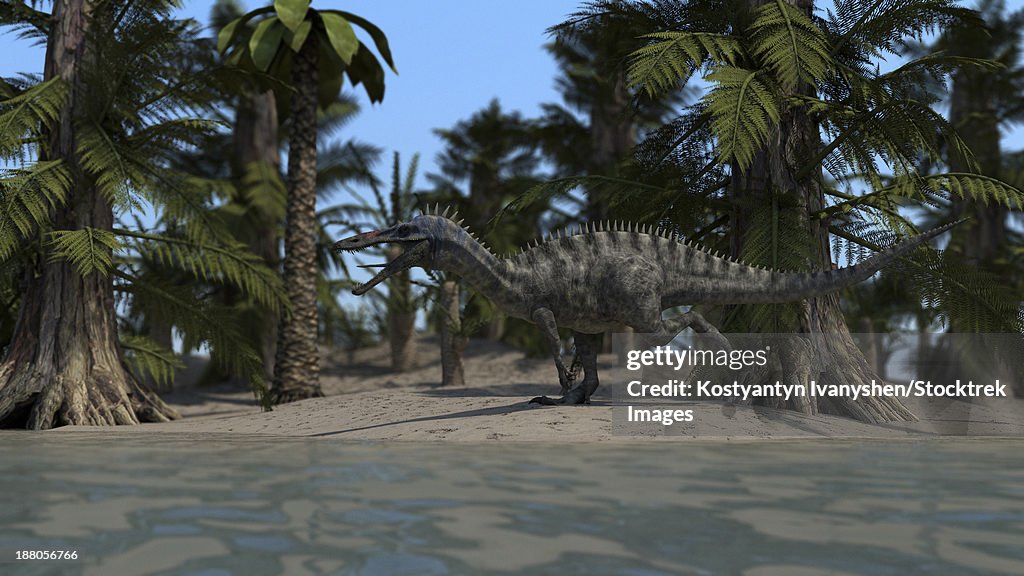 Suchomimus running along the shoreline.