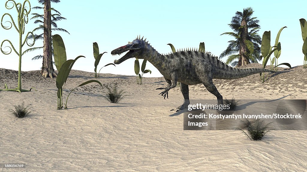 Suchomimus walking through an open desert.