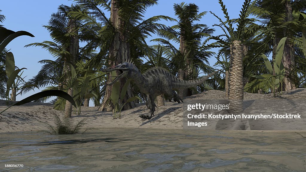 Suchomimus running along the shoreline.