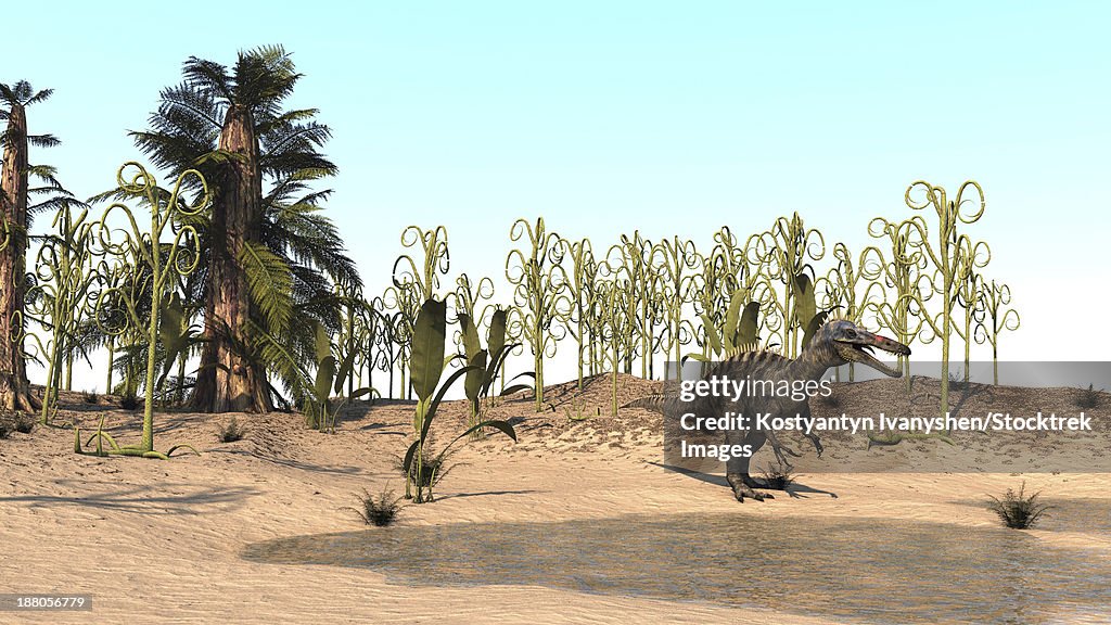 Suchomimus walking through a desert environment.