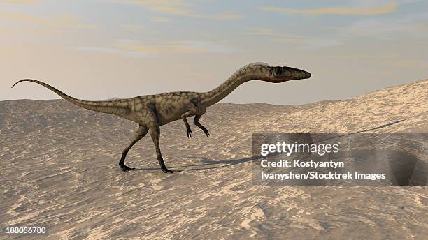 suchomimus walking through a desert environment. - suchomimus stock illustrations