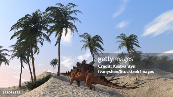 Kentrosaurus roaming a tropical setting. Kentrosaurus roaming a tropical setting.