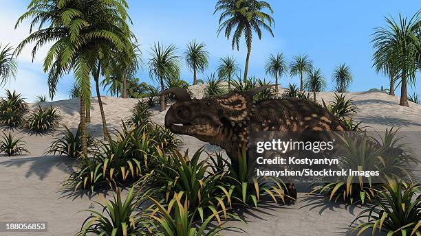brown einiosaurus in a tropical setting. - einiosaurus stock illustrations