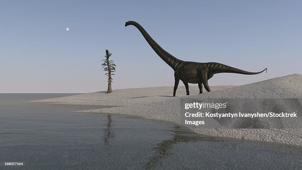 Mamenchisaurus walking along the shoreline.