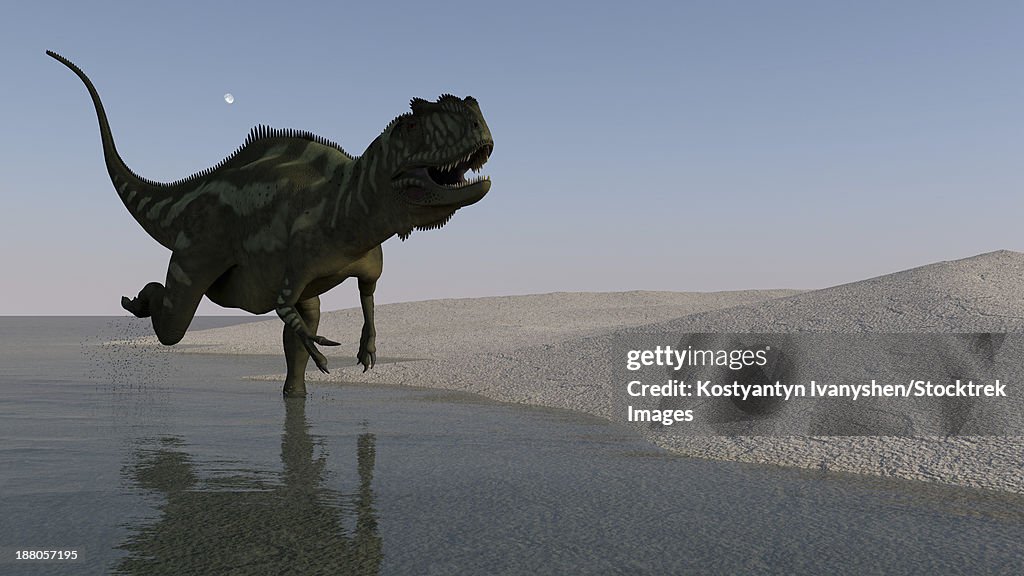Yangchuanosaurus running along the shore.