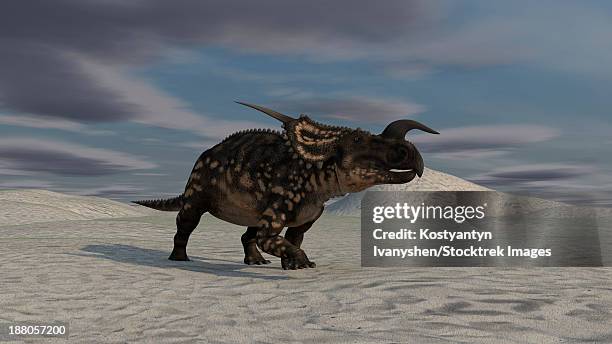 brown einiosaurus walking across a barren landscape. - einiosaurus stock illustrations