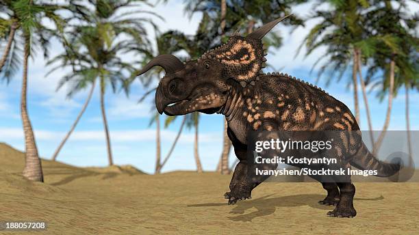 brown einiosaurus in a prehistoric landscape. - einiosaurus stock illustrations