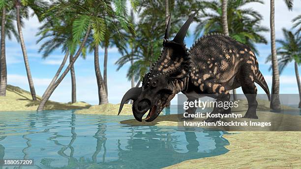 brown einiosaurus drinking from shallow waters. - einiosaurus stock illustrations