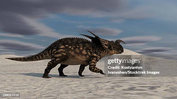 brown einiosaurus walking across a desert landscape. - einiosaurus stock illustrations